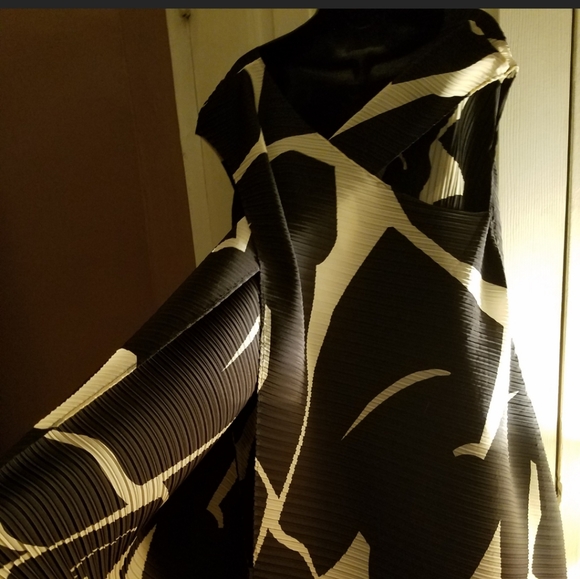 **HP** ISSEY MIYAKE Cape Dress - Picture 5 of 17